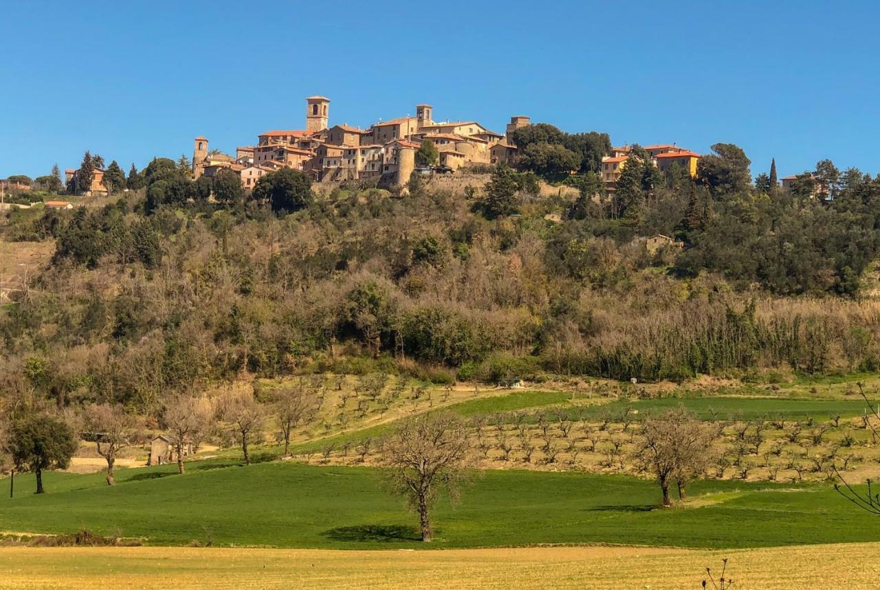 CollazzoneUmbria, "Casa Sagrantina" Con Piscina E Pergolato公寓 外观 照片